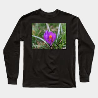 Purple and Orange Flower in Grass 2 Long Sleeve T-Shirt